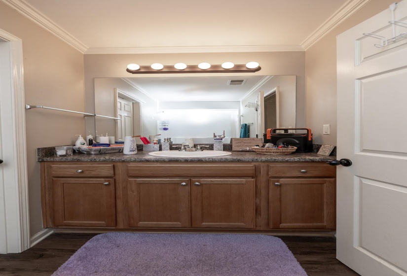 Bathroom with vanity, crown molding, and dark wood-style floors