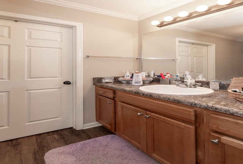 Bathroom featuring crown molding, vanity, and dark wood-style flooring