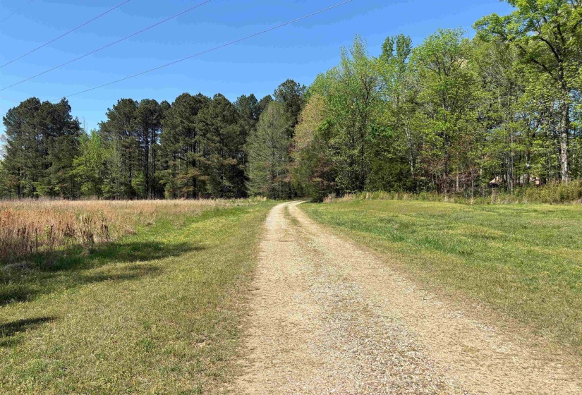 11338 MONTEREY RD, Eads, Tennessee 38028, 0 , 0 ,0,Land,For Sale,MONTEREY,0,10216342