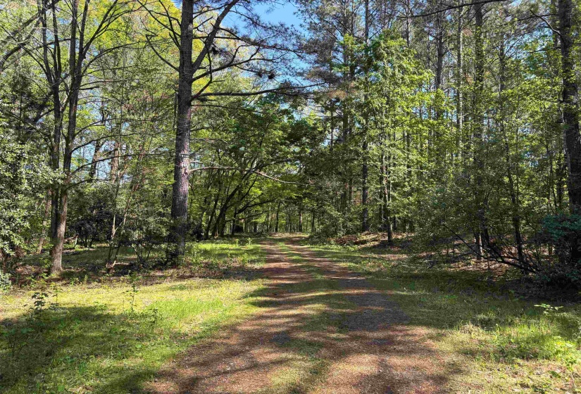11338 MONTEREY RD, Eads, Tennessee 38028, 0 , 0 ,0,Land,For Sale,MONTEREY,0,10216342