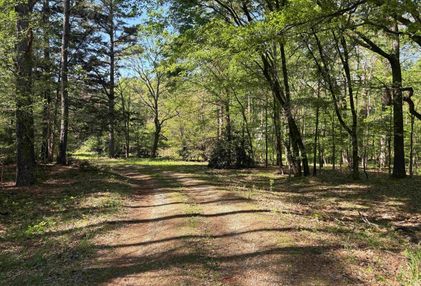 11338 MONTEREY RD, Eads, Tennessee 38028, 0 , 0 ,0,Land,For Sale,MONTEREY,0,10216342