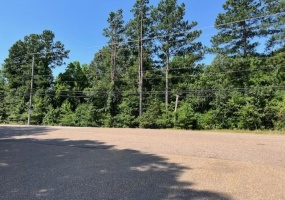 3977 CANADA RD, Lakeland, Tennessee 38002, ,Land,For Sale,CANADA,10216375 3977 CANADA RD, Lakeland, Tennessee 38002, ,Land,For Sale,CANADA,10216375