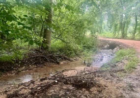 000 FOX LN, Savannah, Tennessee 38372, 0 , 0 ,0,Land,For Sale,FOX,0,10216376 000 FOX LN, Savannah, Tennessee 38372, 0 , 0 ,0,Land,For Sale,FOX,0,10216376