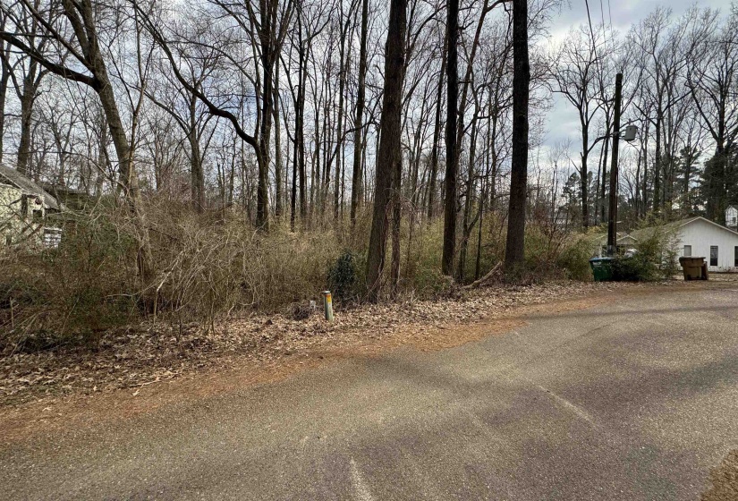 5711 GREEN VALLEY RD, Memphis, Tennessee 38053, ,Land,For Sale,GREEN VALLEY,10216551