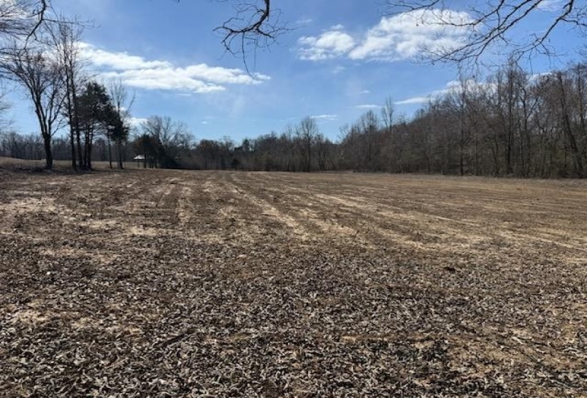 13 ACRES BURNETTE RD, Williston, Tennessee 38076, ,Land,For Sale,BURNETTE,10216559