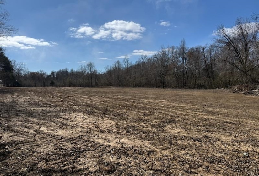 13 ACRES BURNETTE RD, Williston, Tennessee 38076, ,Land,For Sale,BURNETTE,10216559