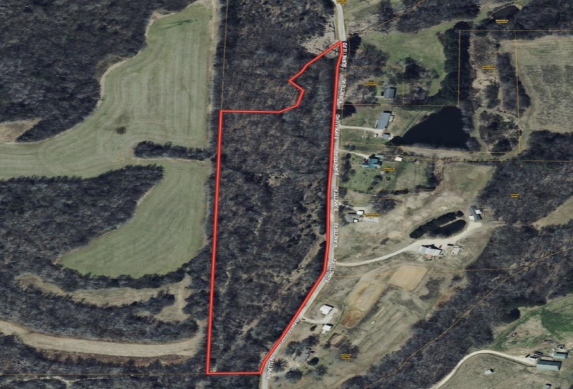 13 ACRES BURNETTE RD, Williston, Tennessee 38076, ,Land,For Sale,BURNETTE,10216559