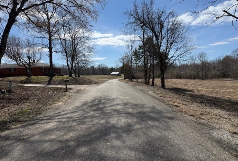 13 ACRES BURNETTE RD, Williston, Tennessee 38076, ,Land,For Sale,BURNETTE,10216559