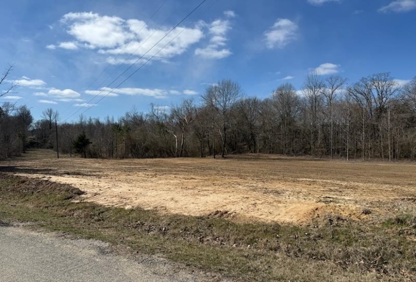 13 ACRES BURNETTE RD, Williston, Tennessee 38076, ,Land,For Sale,BURNETTE,10216559