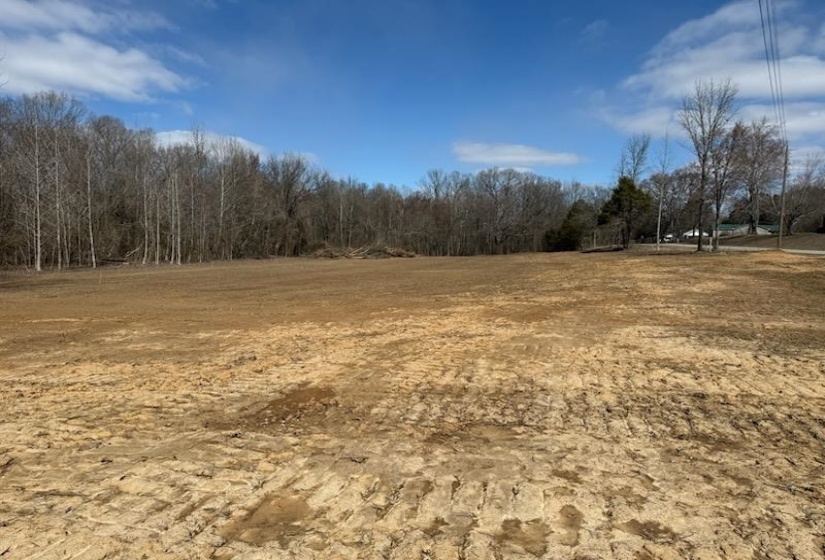 13 ACRES BURNETTE RD, Williston, Tennessee 38076, ,Land,For Sale,BURNETTE,10216559