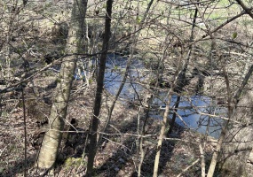 00 POPLAR SPRINGS RD, Savannah, Tennessee 38372, ,Land,For Sale,POPLAR SPRINGS,10216739 00 POPLAR SPRINGS RD, Savannah, Tennessee 38372, ,Land,For Sale,POPLAR SPRINGS,10216739