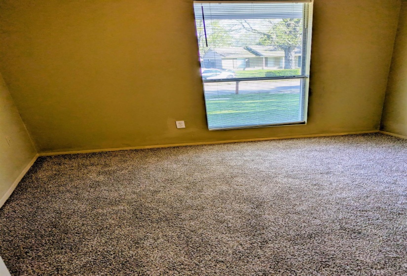 Carpeted empty room featuring new carpet and baseboards