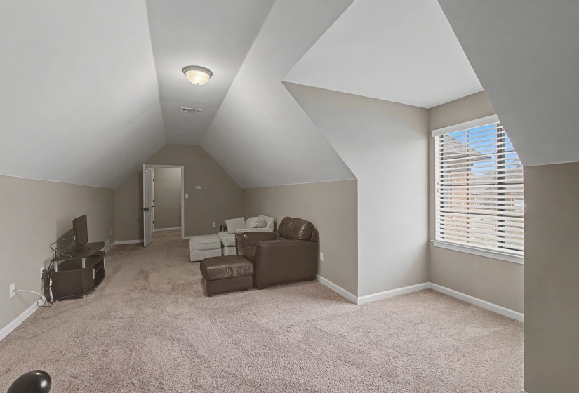 Bonus room featuring light colored carpet and lofted ceiling