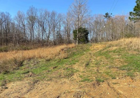 65 AMELIA BRIANN DR, Selmer, Tennessee 38375, ,Land,For Sale,AMELIA BRIANN,10216861