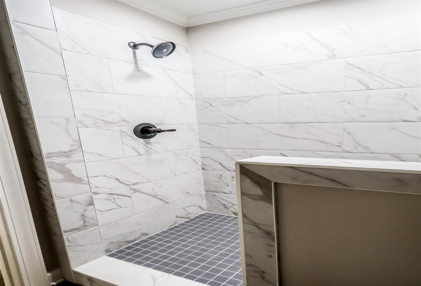 Full bathroom with walk in shower