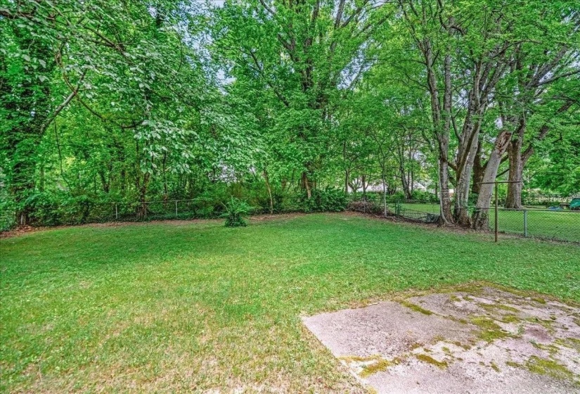 View of fenced backyard
