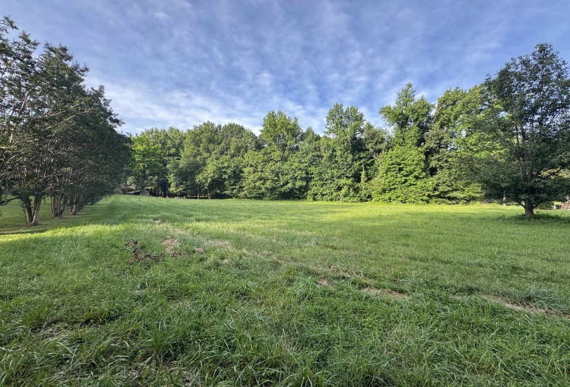 0 CATALPA DR, Unicorp/Eads, Tennessee 38028, ,Land,For Sale,CATALPA,10193866