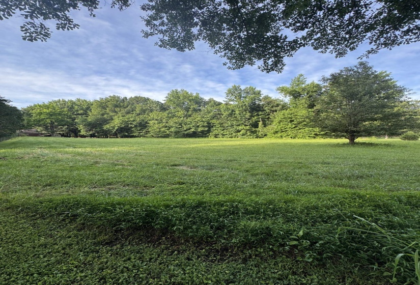 0 CATALPA DR, Unicorp/Eads, Tennessee 38028, ,Land,For Sale,CATALPA,10193866
