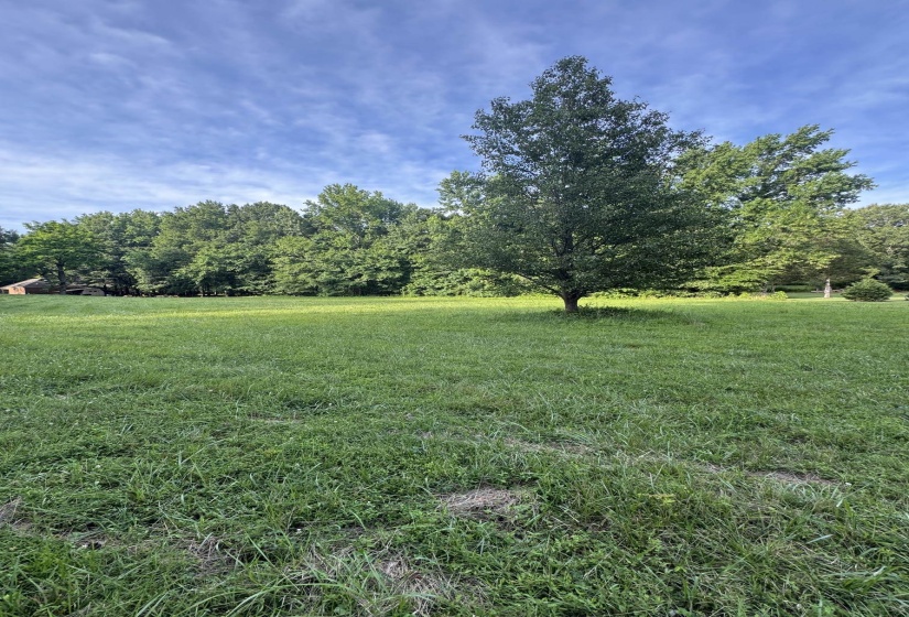 0 CATALPA DR, Unicorp/Eads, Tennessee 38028, ,Land,For Sale,CATALPA,10193866