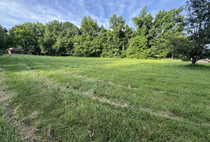 0 CATALPA DR, Unicorp/Eads, Tennessee 38028, ,Land,For Sale,CATALPA,10193866