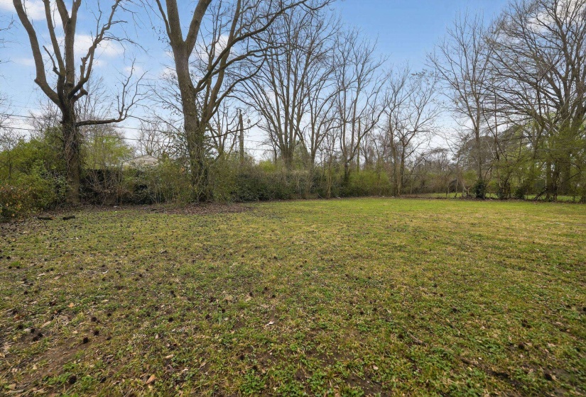 View of grassy yard