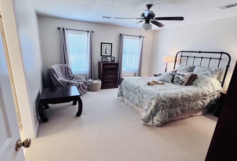 Bedroom with carpet, ceiling fan, multiple windows, and a textured ceiling