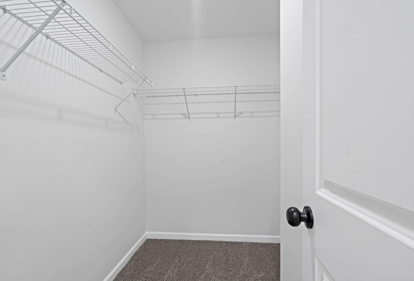 Spacious closet with dark carpet