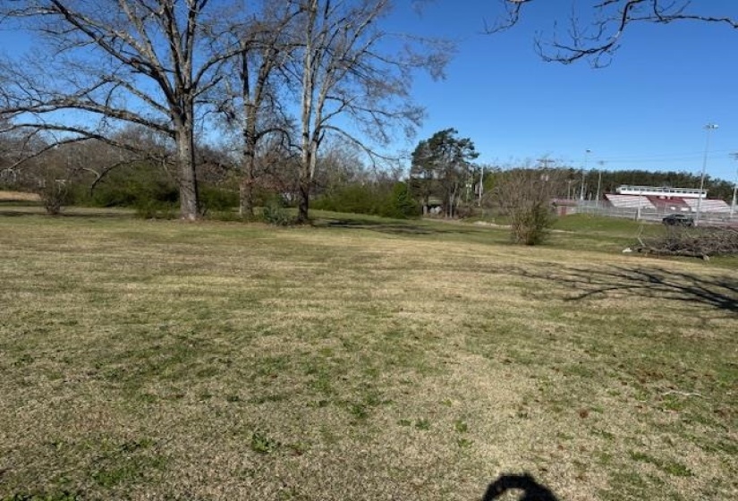 1019 PICKWICK ST, Savannah, Tennessee 38372, ,Land,For Sale,PICKWICK,10217069