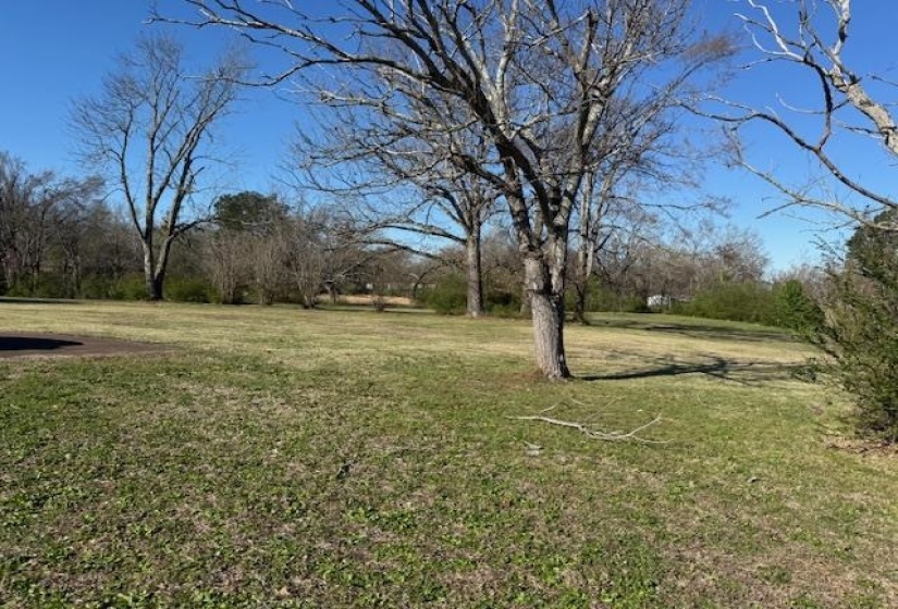 1019 PICKWICK ST, Savannah, Tennessee 38372, ,Land,For Sale,PICKWICK,10217069