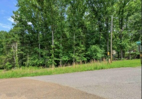 1 BEECH LOOP, Somerville, Tennessee 38068, ,Land,For Sale,BEECH,10217201 1 BEECH LOOP, Somerville, Tennessee 38068, ,Land,For Sale,BEECH,10217201