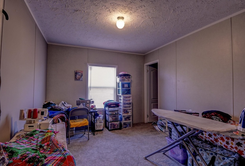 Office featuring a decorative wall, a textured ceiling, carpet flooring, and ornamental molding