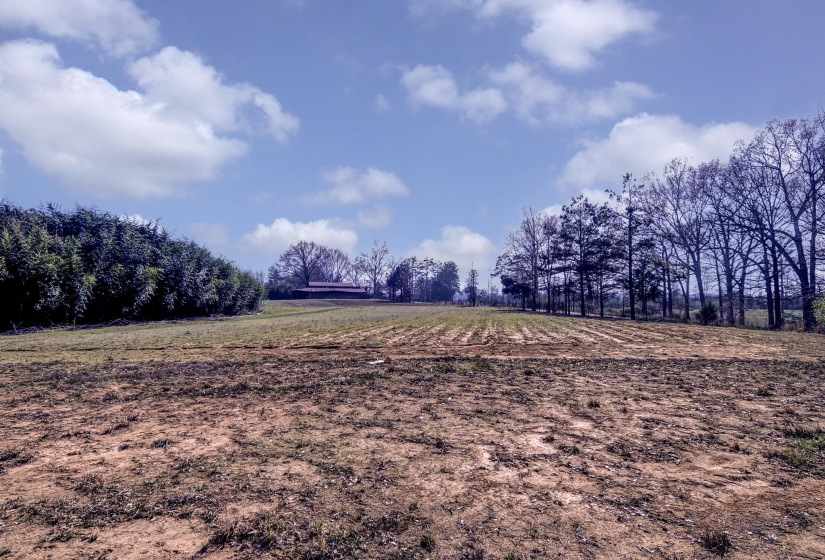 View of yard featuring a view of countryside
