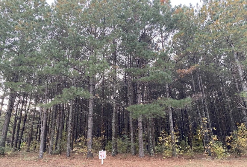 365 BELLE FARMS DR, Rossville, Tennessee 38066, 0 , 0 ,0,Land,For Sale,BELLE FARMS,0,10217294