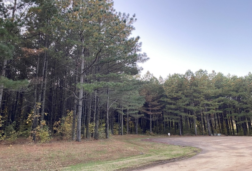 365 BELLE FARMS DR, Rossville, Tennessee 38066, 0 , 0 ,0,Land,For Sale,BELLE FARMS,0,10217294