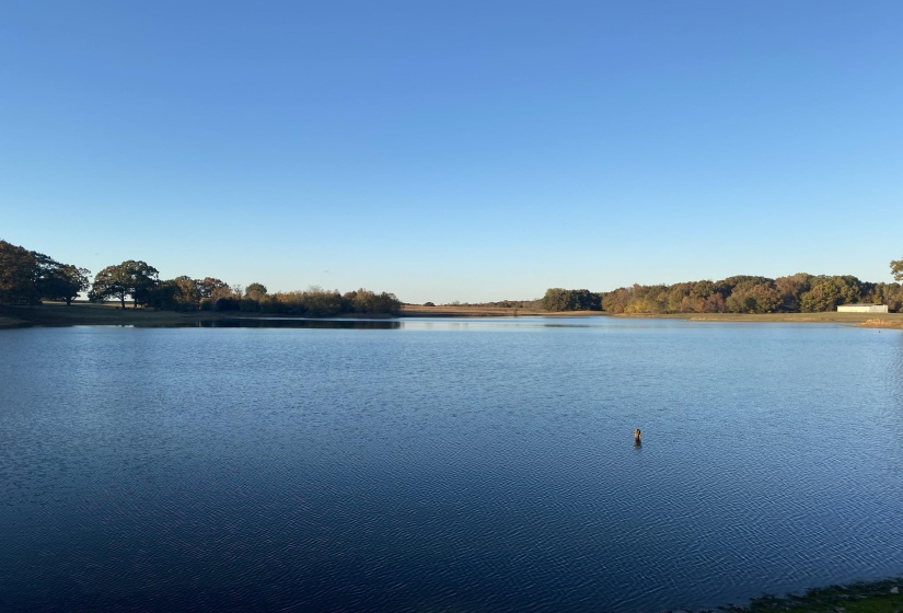 365 BELLE FARMS DR, Rossville, Tennessee 38066, 0 , 0 ,0,Land,For Sale,BELLE FARMS,0,10217294