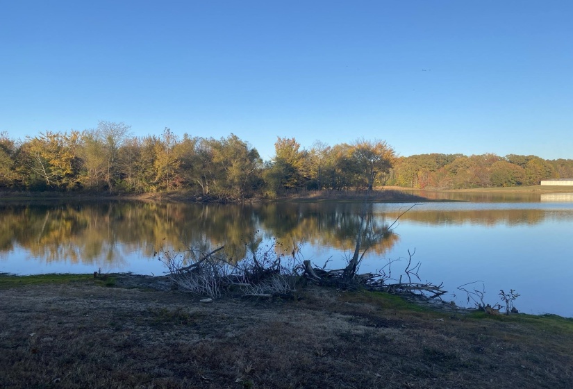 365 BELLE FARMS DR, Rossville, Tennessee 38066, 0 , 0 ,0,Land,For Sale,BELLE FARMS,0,10217294