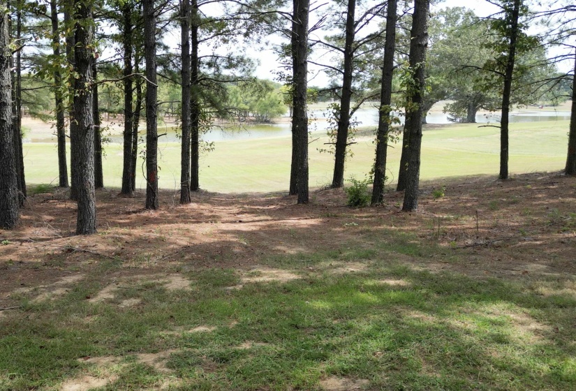 365 BELLE FARMS DR, Rossville, Tennessee 38066, 0 , 0 ,0,Land,For Sale,BELLE FARMS,0,10217294