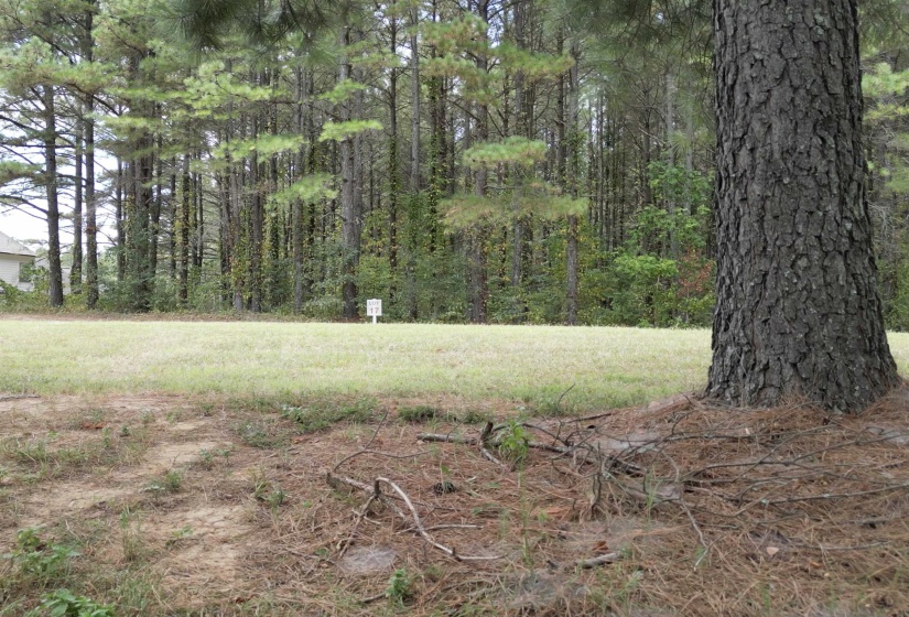 365 BELLE FARMS DR, Rossville, Tennessee 38066, 0 , 0 ,0,Land,For Sale,BELLE FARMS,0,10217294