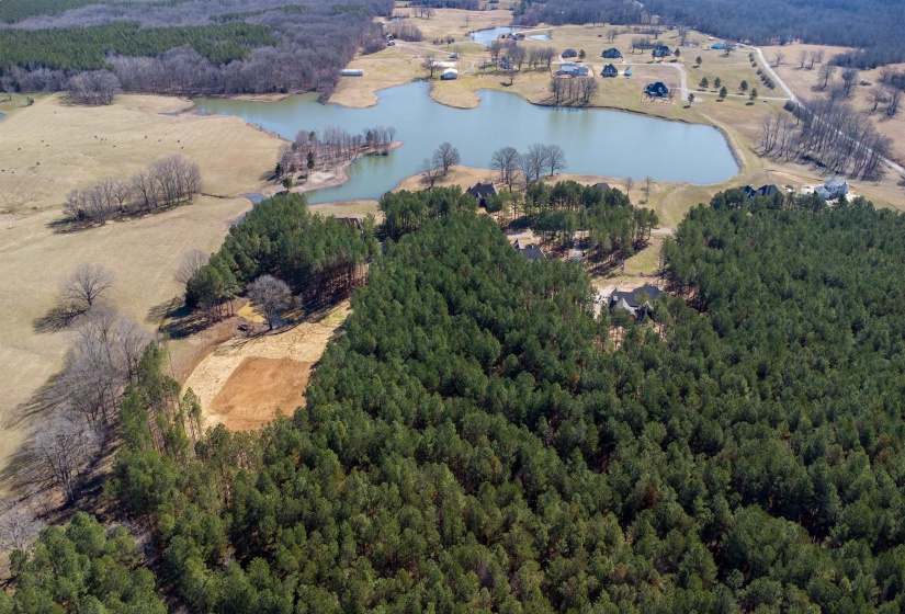 365 BELLE FARMS DR, Rossville, Tennessee 38066, 0 , 0 ,0,Land,For Sale,BELLE FARMS,0,10217294