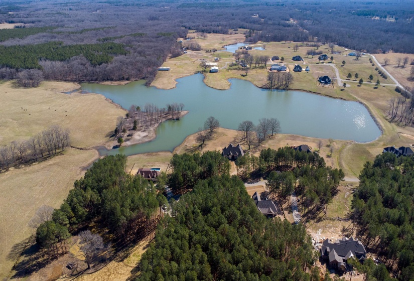 365 BELLE FARMS DR, Rossville, Tennessee 38066, 0 , 0 ,0,Land,For Sale,BELLE FARMS,0,10217294