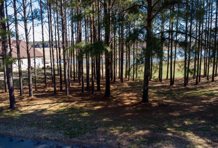 365 BELLE FARMS DR, Rossville, Tennessee 38066, 0 , 0 ,0,Land,For Sale,BELLE FARMS,0,10217294