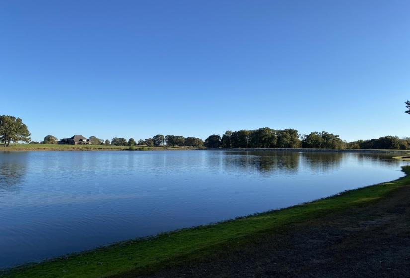 365 BELLE FARMS DR, Rossville, Tennessee 38066, 0 , 0 ,0,Land,For Sale,BELLE FARMS,0,10217294