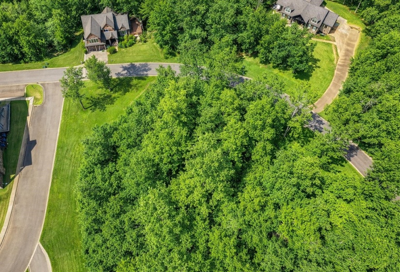 42 BREATHTAKING LOOP, Savannah, Tennessee 38372, ,Land,For Sale,BREATHTAKING,10217317