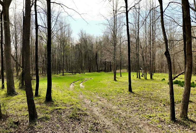 0 PAYNE RD, Unincorporated, Tennessee 38060, ,Land,For Sale,PAYNE,10217319