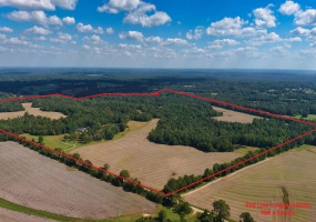 695 MIDDLEBURG RD, Hickory Valley, Tennessee 38042, 6 Bedrooms Bedrooms, 18 Rooms Rooms,5 BathroomsBathrooms,Residential,For Sale,MIDDLEBURG,10217293 695 MIDDLEBURG RD, Hickory Valley, Tennessee 38042, 6 Bedrooms Bedrooms, 18 Rooms Rooms,5 BathroomsBathrooms,Residential,For Sale,MIDDLEBURG,10217293