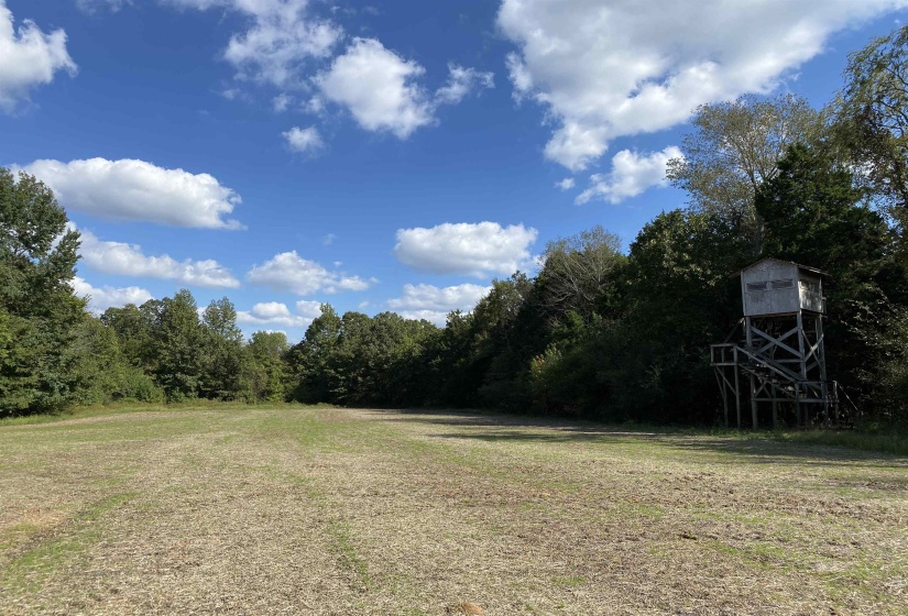 695 MIDDLEBURG RD, Hickory Valley, Tennessee 38042, 6 Bedrooms Bedrooms, 18 Rooms Rooms,5 BathroomsBathrooms,Residential,For Sale,MIDDLEBURG,10217293