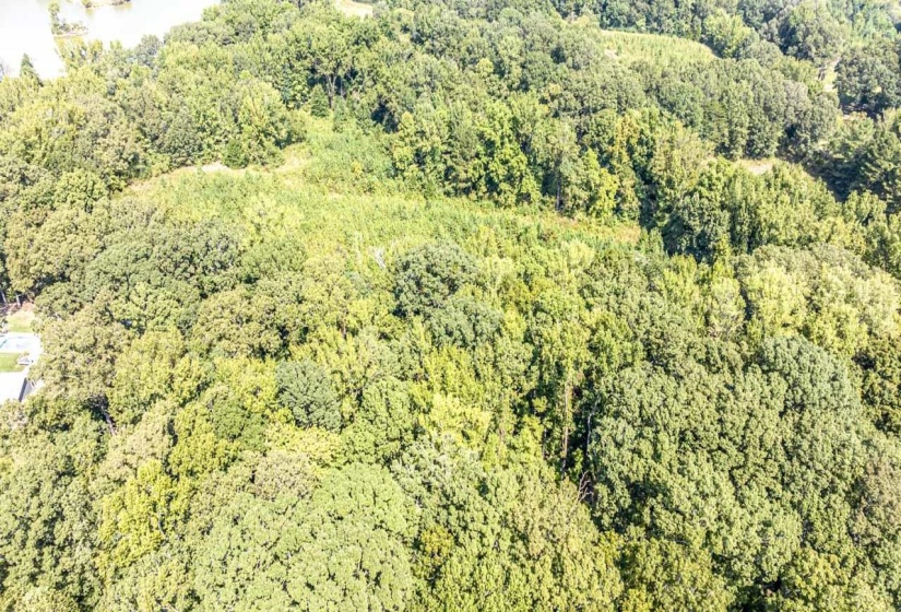 Aerial view of property's location featuring a heavily wooded area