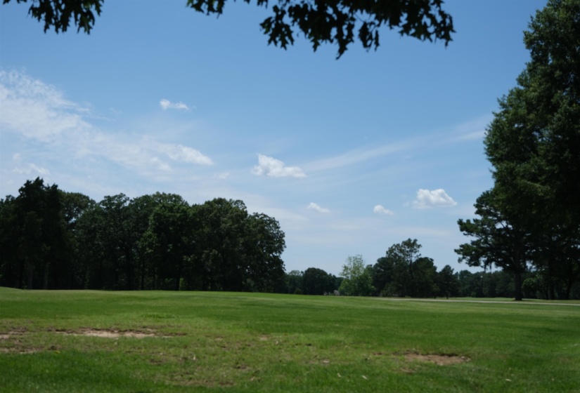 2499 EAGLERIDGE LN, Memphis, Tennessee 38016, 4 Bedrooms Bedrooms, 8 Rooms Rooms,4.1 BathroomsBathrooms,Residential,For Sale,EAGLERIDGE,10217392