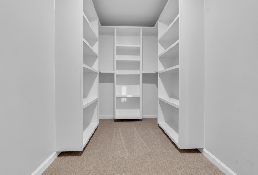 Spacious closet featuring carpet flooring