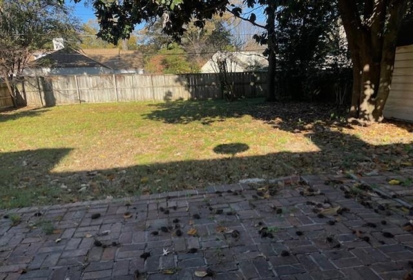 View of yard featuring a patio area